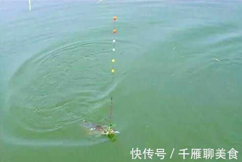 冬季|冬季钓草窝、钓冰孔，试试长竿短线空钩逗钓，不用饵也能上鲫鱼