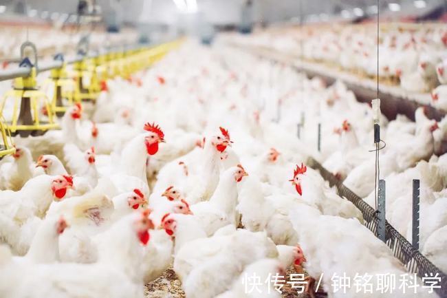 性早熟|7岁乳房发育、10岁来例假，儿童性早熟为何越来越常见了？