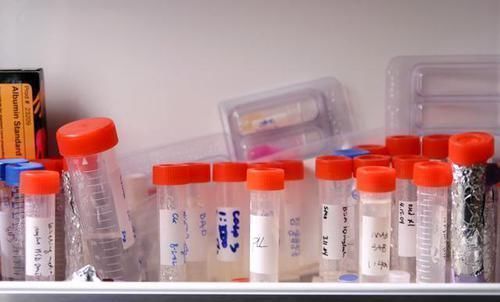 血型|如果父母是这两种“血型”,生出的孩子会更聪明,你家娃中了没