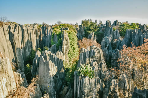 昆明的5A景区石林，有的人说是山寨版的桂林，当地人：没见识！