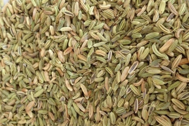 茴香醚|失眠的人不要再发愁了，一物放在枕边，每天闻一闻，一觉到天亮