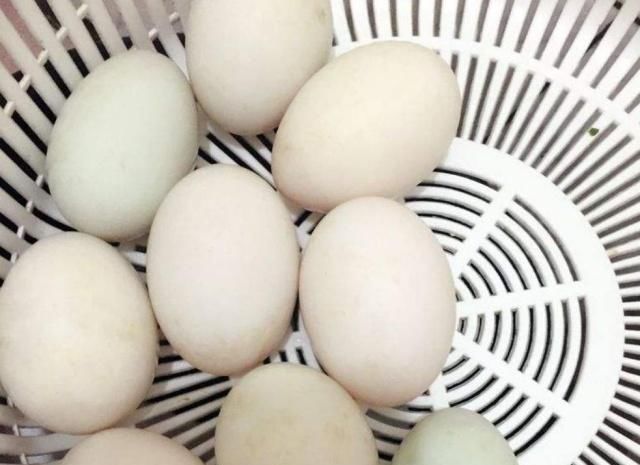 腌咸鸭蛋，要想鸭蛋出油这一步很关键，一定不能少，方法很简单