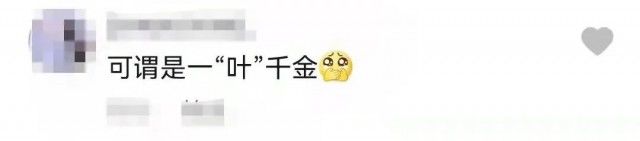 广东共青团！“用勾股定理和完全平方差？”他好像真的打算教会我......