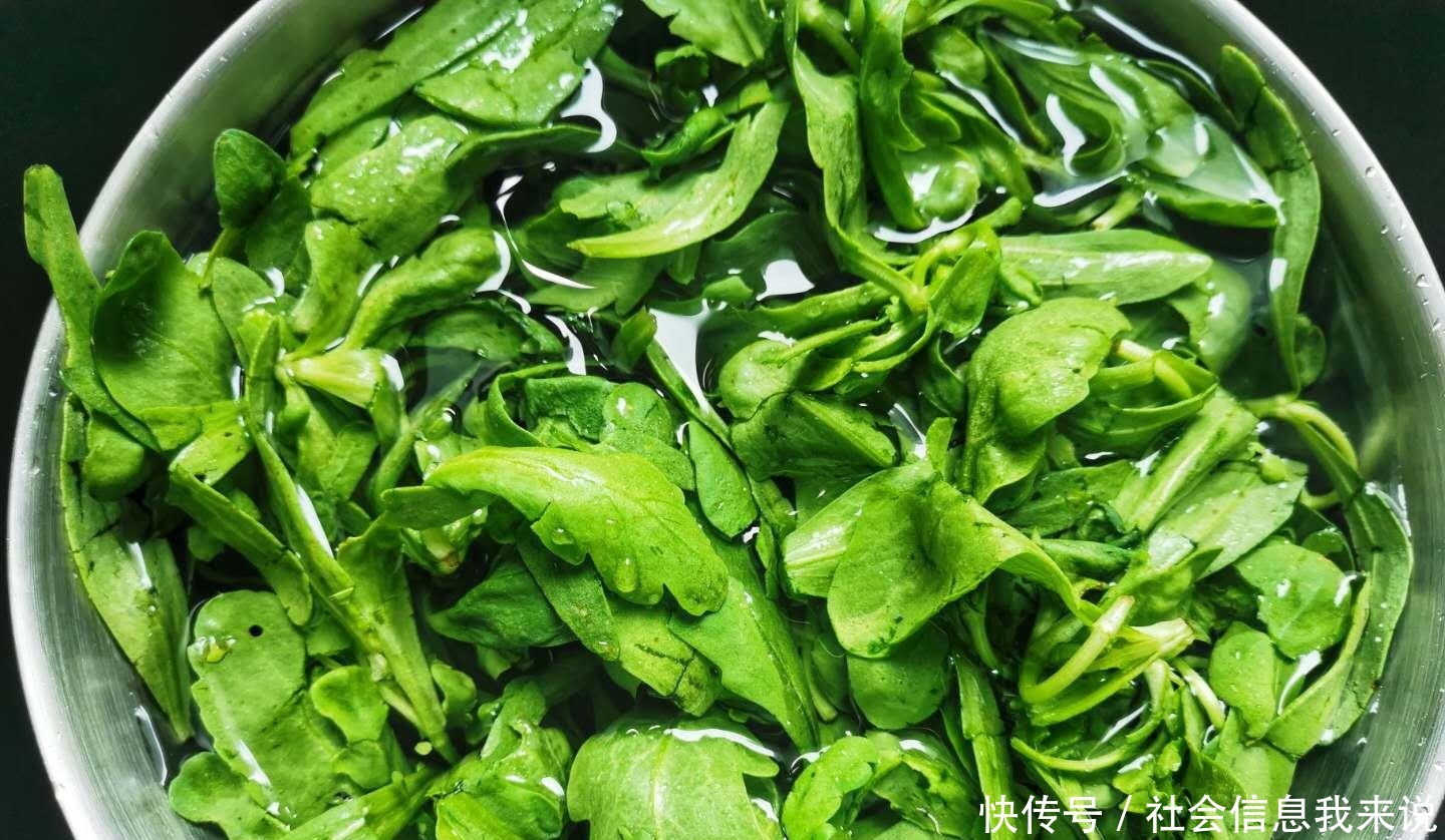 食材|简单的食材,简单的做法,常常是最养生的吃法,分享简易的茼蒿汤