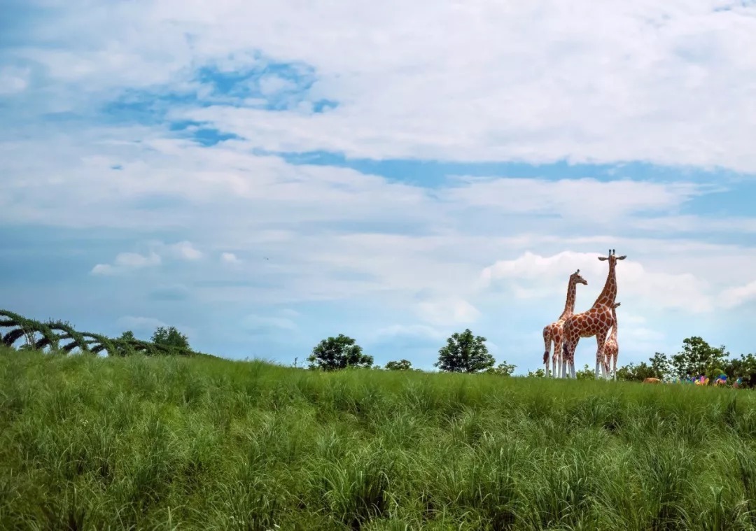 龙和虎&《增广贤文》精华48句,悟透人生有真知