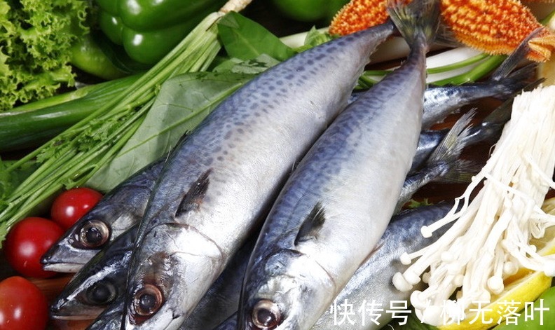 黄海|这7种海鱼,目前无法养殖,都是野生的,营养又好吃,价格还不贵!