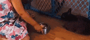 |搞笑GIF:不小心把钥匙忘车里面了,选择了一个最小的臂力砸碎了。