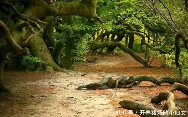 少女|18张图都隐藏着少女,找出6个正常,9个聪明,14个以上天才