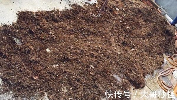 园艺新人适用的经验知识：将它们列入“养花配土”的原材料吧