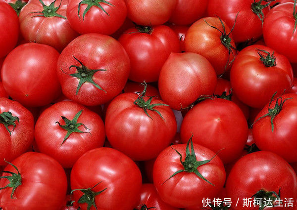 西红柿和圣女果谁更有营养?生吃和熟吃哪个好?原来这些年都吃错