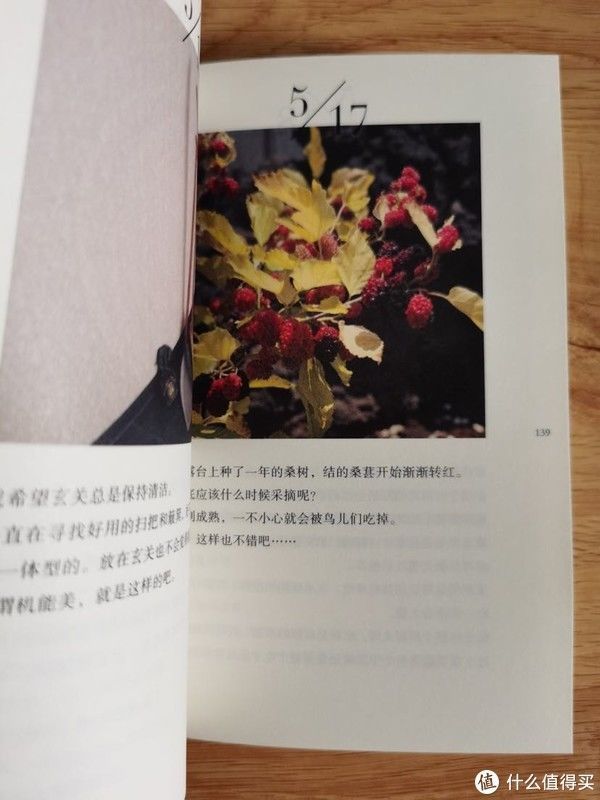 英子女士&治愈书单推荐(篇二):世界上超过70%的人感到焦虑,你呢?