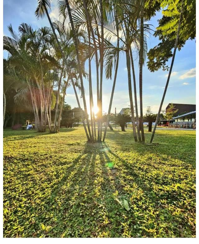 新国潮综艺来袭！玩转流行音乐+中国传统文化，收视密码掌握了