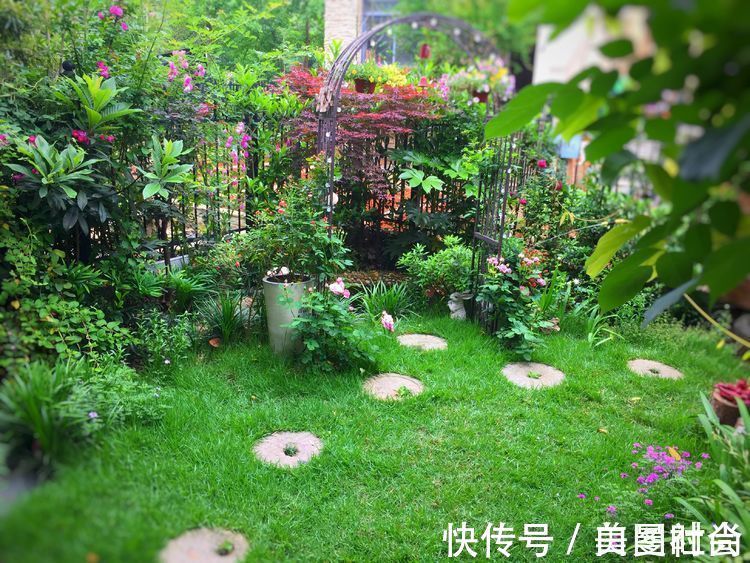都市|三年前买了这30㎡小院,亲手改造成小花园,在繁华都市过田园生活