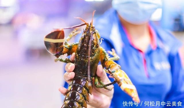  细分三亚3大特色美食，必吃海鲜、火锅、海南菜，附海鲜挑选技巧