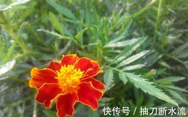 分寸|哪3个月份出生的人,说话有分寸,做人有风度,赚钱之路顺到老