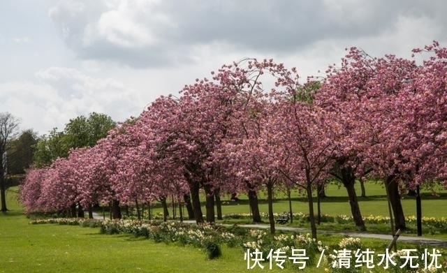 此情未央|三天内，此情未央，思念旧情，天降佳缘，再续前缘，爱情到来