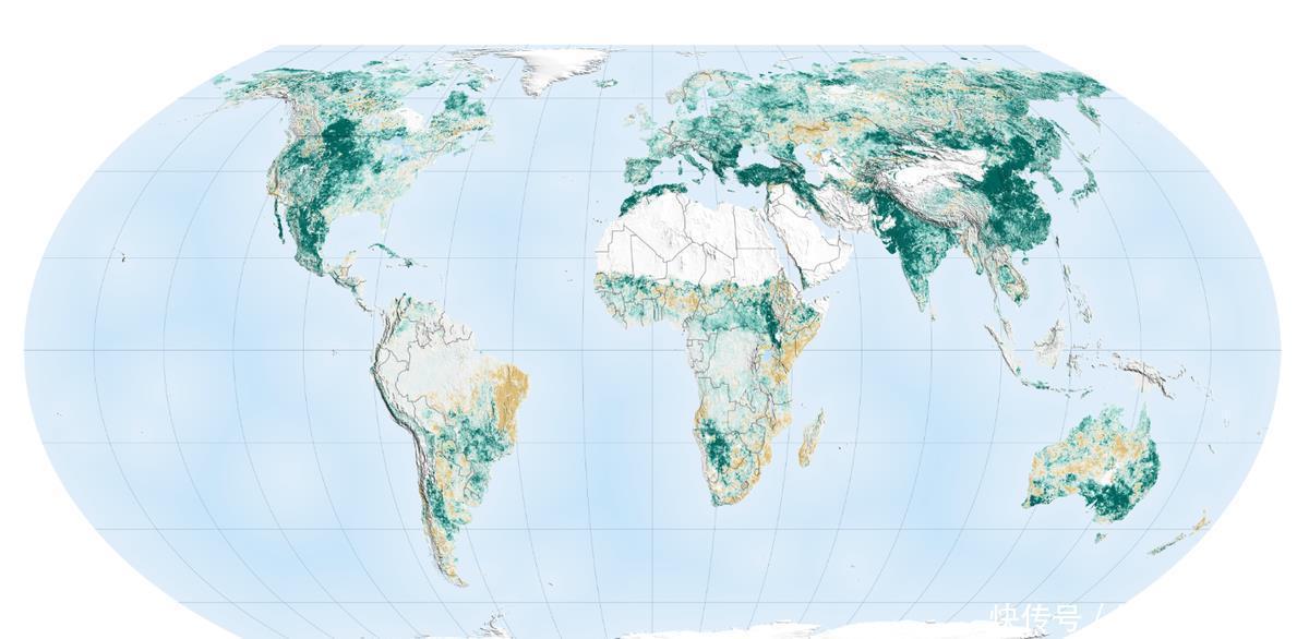地球变绿原因出自中印？美卫星传来喜讯，专家却独对印度感到担忧