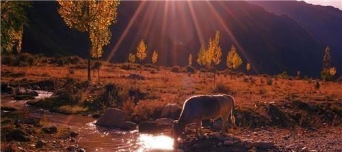 老子&“上善若水”是什么意思?老子的意思很简单,可惜很多人都误解了