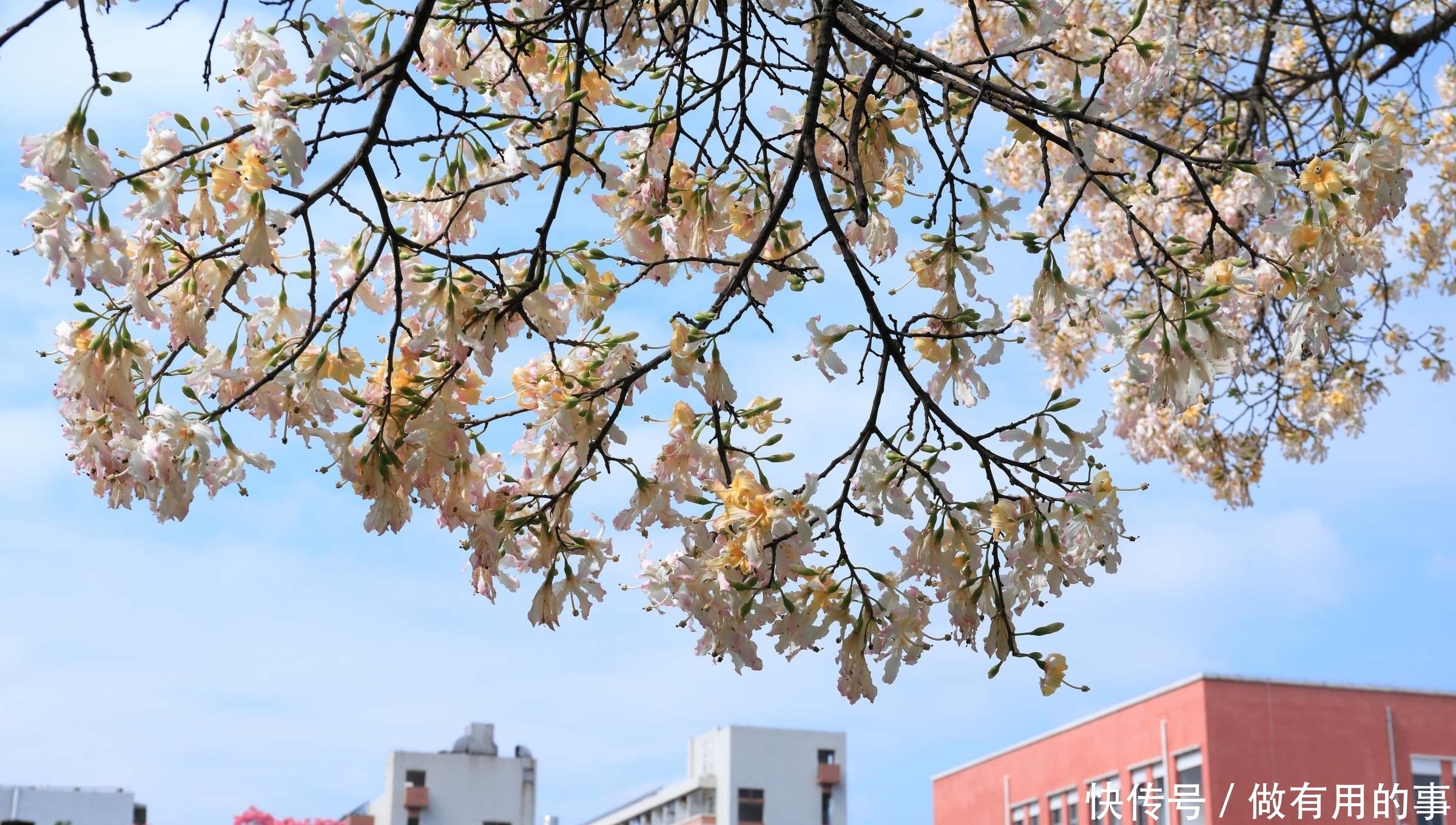 南师范学院|这所大学的心理学专业常年排在全国前五，可与北大、北师大齐名