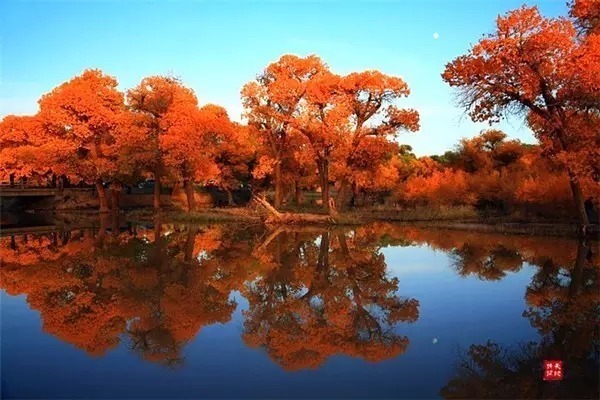 满园春色宫墙柳$意境最美的10首古诗词,陶醉其中