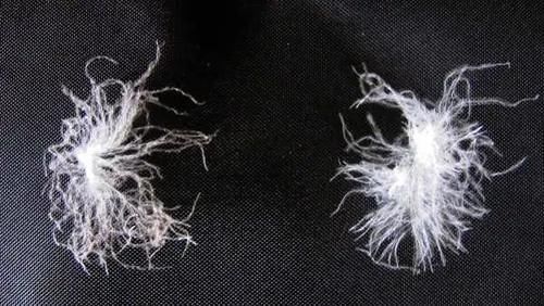 加拿大鹅又卖断货 都2021年了你怎么还在跟风