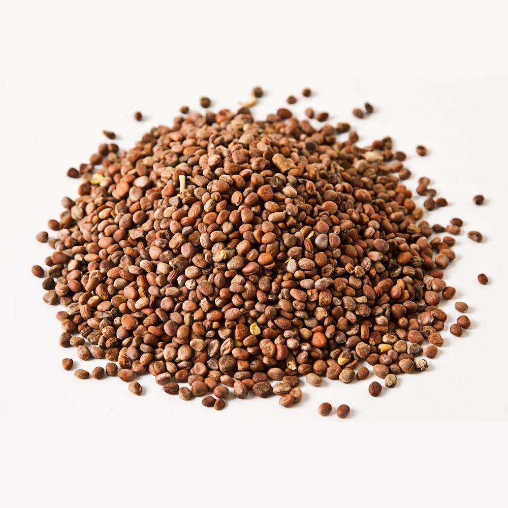 干结|被誉为“天然泻药”的中药，经常吃，消炎灭菌、口臭便秘都消失