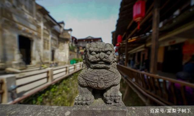 武夷山|福建武夷山堪称宝藏之地，不仅山水胜景美，人文风情也十分浓厚