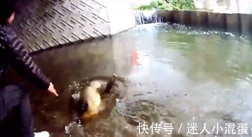 钓鱼|桥下水虽少，但却钓上了大鱼，太激动了，鱼差点就跑掉了