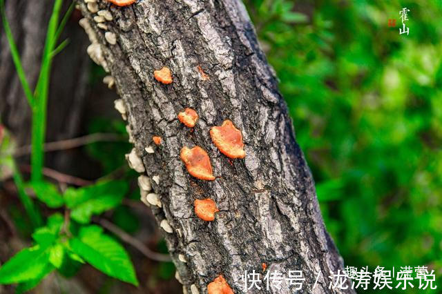 风景|看大别山最美的风景，还要到安徽六安霍山来！