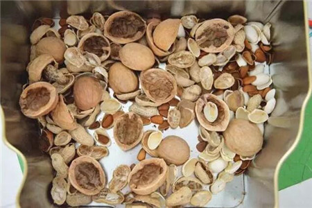 黄豆|绿萝的最爱,家家都有,2周喂一点,叶子油绿翠亮,新叶巴掌大