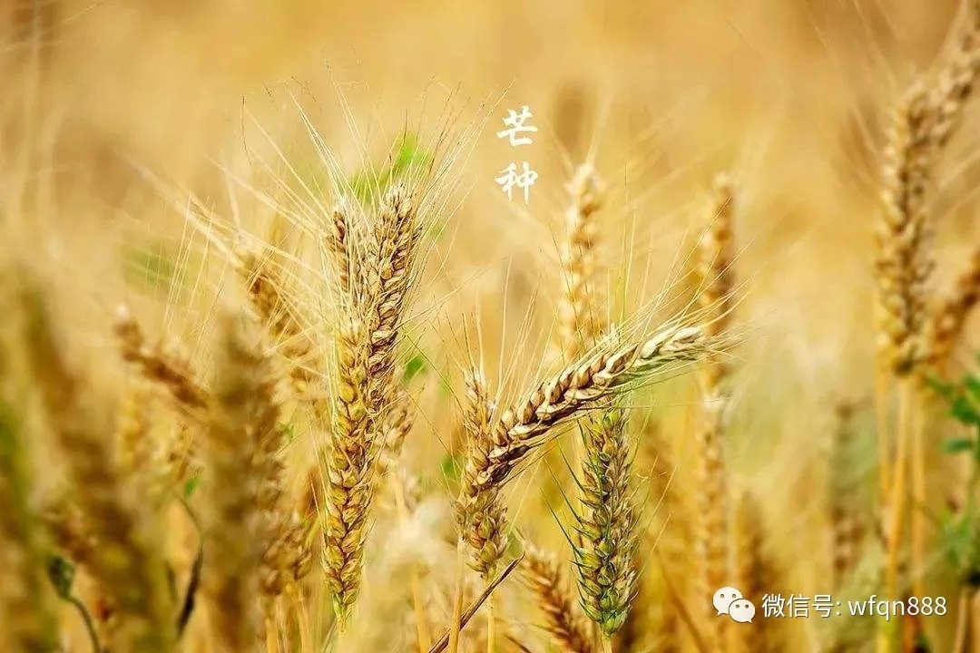 击壤歌#最早的古诗,流传了4000年,开头2句成千古名句,几乎人人会背