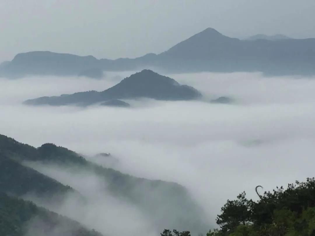 烟雨蒙蒙|初夏，最美不过天台白鹤的烟雨