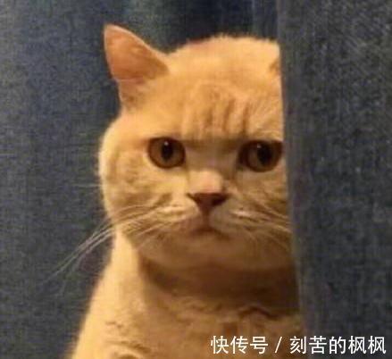 百帕|寒潮到!为何这儿下雪那儿却下雨|手绘漫画