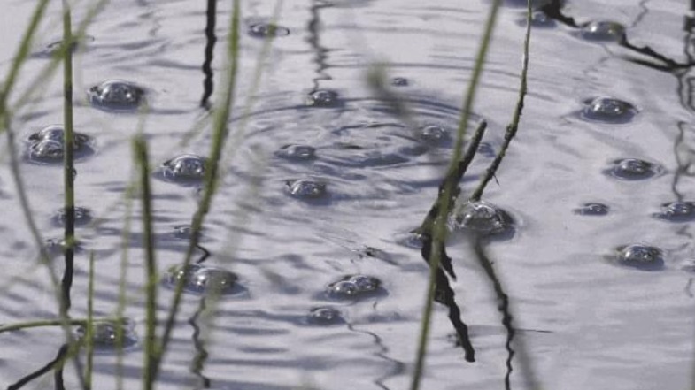 地球有多热，2020年气温再创新高，冻土融化，人类为何不安？