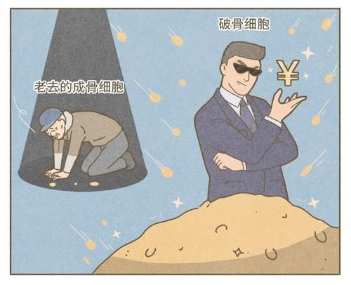 息息相关|老了是否会骨质疏松，和你现在的一个决定息息相关
