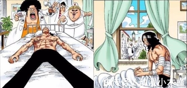 路飞|海贼王:巅峰强者致命伤多可怕?凯多包扎三天,马尔科包扎一个月