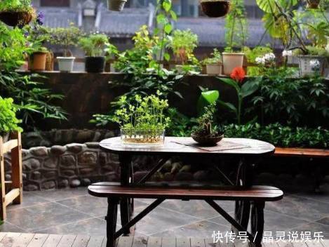 发芽|丢水里就能长得很好的6种蔬菜，比花美、比绿萝还好养！