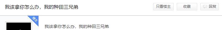 领先|三国志战略版：刘关张这么弱？战法等级全领先，却被杂牌吊打