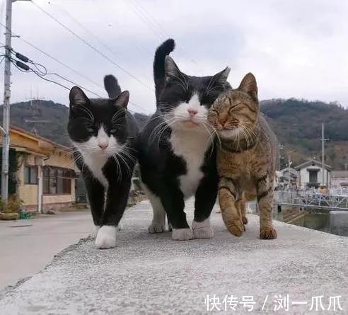 |搞笑GIF:利用废弃袋子自制了一条内裤