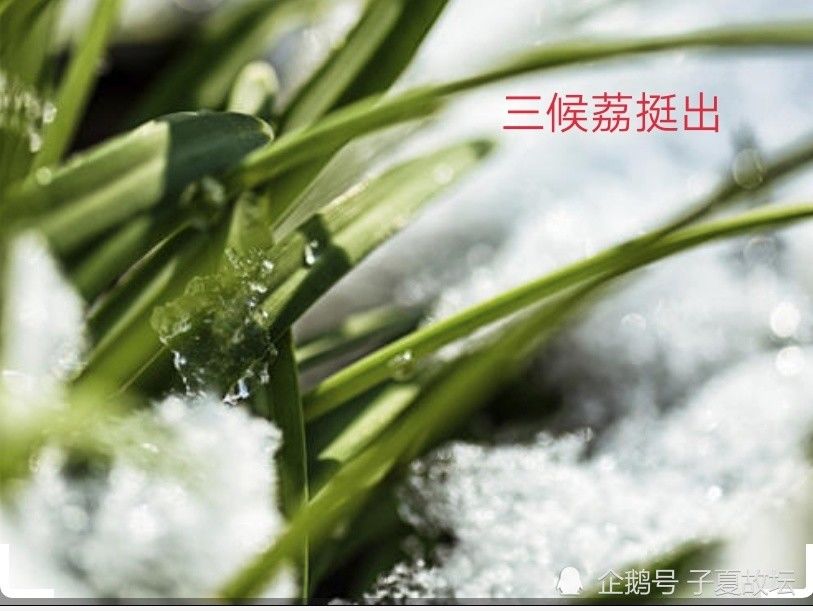  九天|大雪节气：万树有花春不红，九天无月夜长白