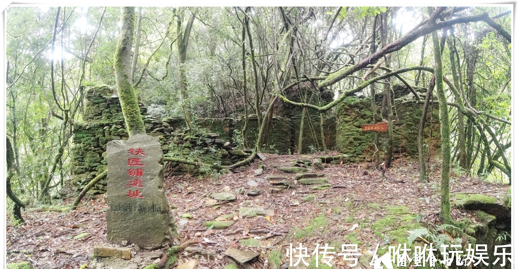 原始森林|自驾云南新平哀牢山，在雨中走茶马古道、体会马帮伙计的辛酸苦辣