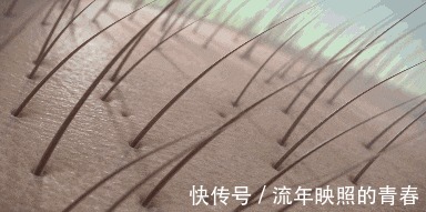 氯化钠|这3种洗发水被列入“黑名单”你是不是还在用,难怪发质差!