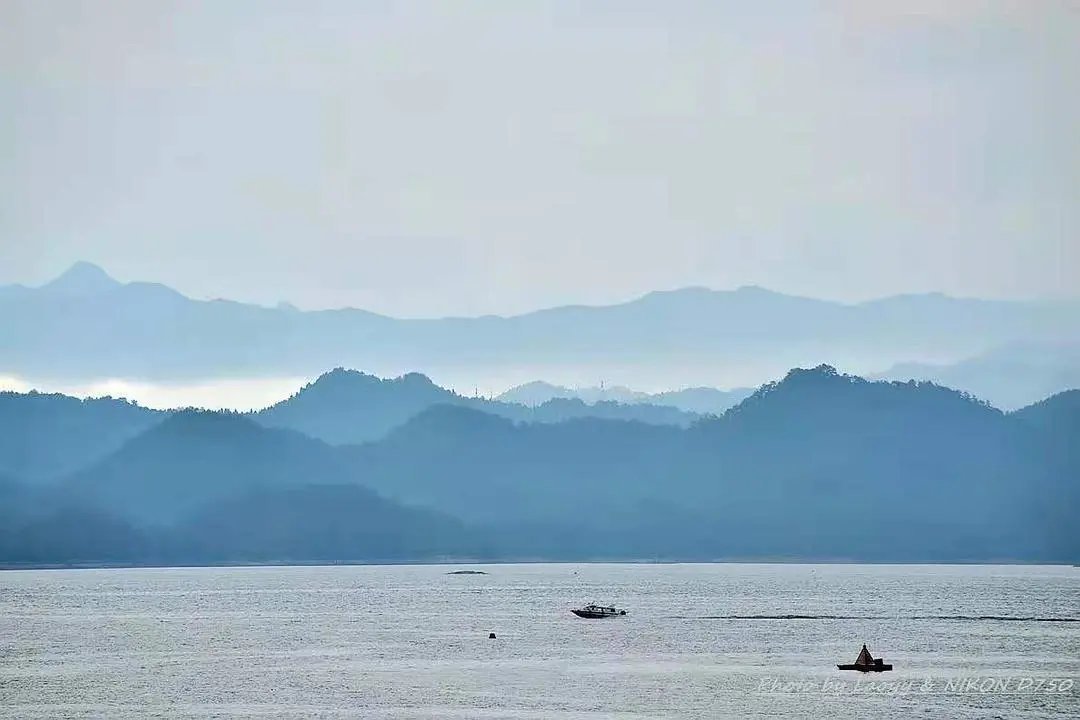 古诗|诗词丨给40首古诗加上配图,恍然大悟,惊为天人