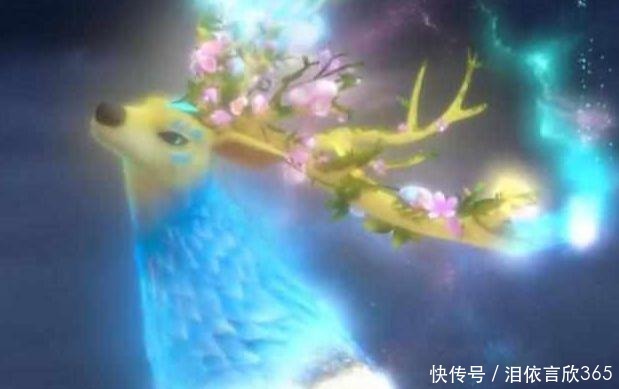 神兽|熊出没不会再出现的4个神兽,最后一个是熊二初恋