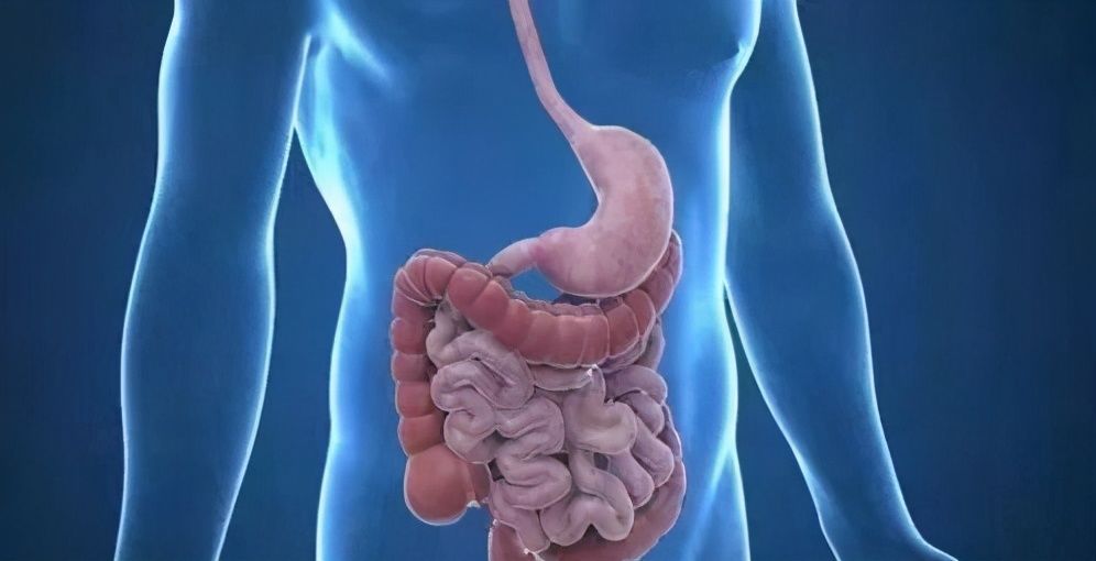 牛肉|入睡前分别吃了半斤牛肉和半斤素食的两个人,哪个人早上体重轻?