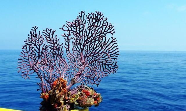 诗词@2首趣味盎然的诗词,历经千年风霜,相信会让你刮目相看