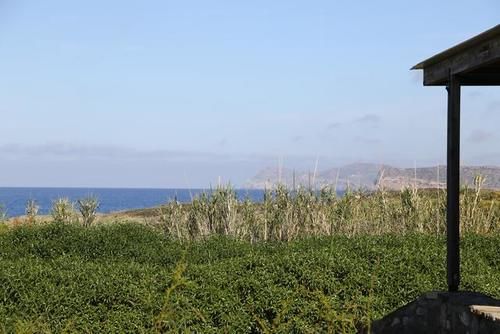 低薪|疫情之下的希腊爱琴海小城:华人商铺春节照常营业,艺术家从伦敦专程来此办公