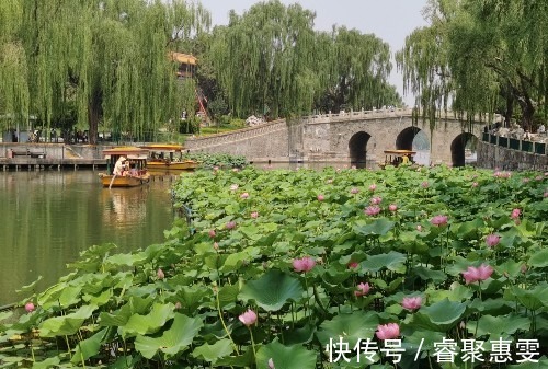 荷花|北海公园荷花盛开，形成接天莲叶无穷碧，映日荷花别样红的美景