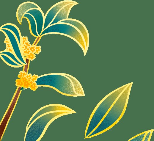 花泥要泡水多久才能用