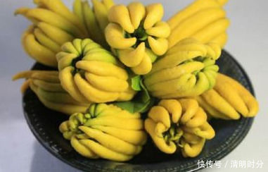 女性不想显老，常吃此食物，减肥排毒，养颜抗衰好处多